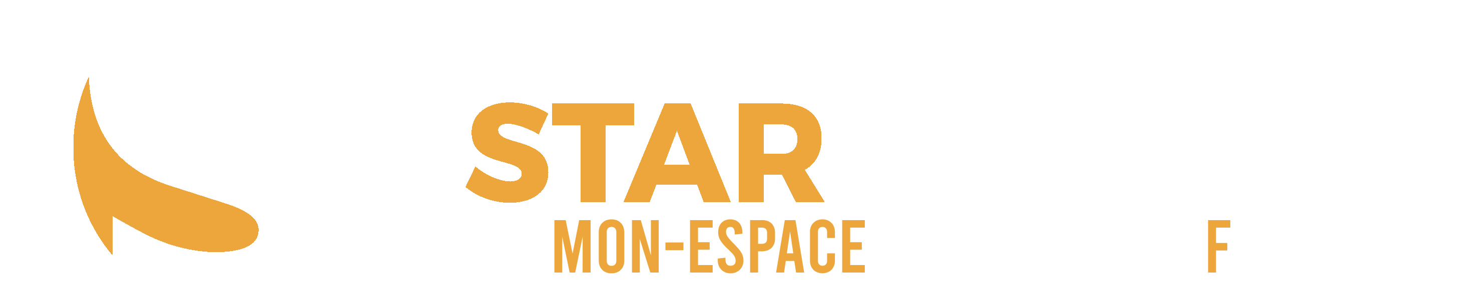 logo StarService Codsworth.fr
